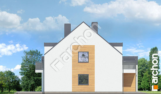 Боковой фасад Дом под агавами 2 (Р2)