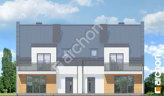 Дворовий фасад Будинок під агавами 2 (Р2)