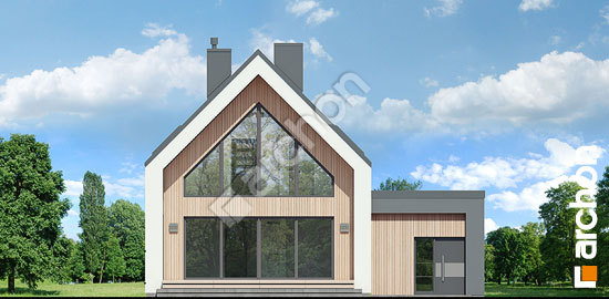 Дворовий фасад Будинок в папаверах 2 (А)