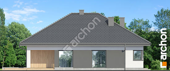 Бочний фасад Будинок в ренклодах 20