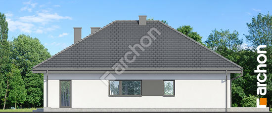 Боковой фасад Дом в ренклодах 20