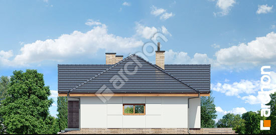 Бочний фасад Будинок в нерінах 6