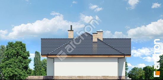 Боковой фасад Дом в неринах 6