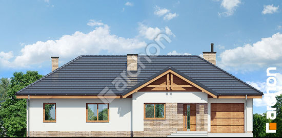 Передний фасад Дом в неринах 6