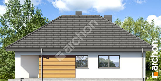 Боковой фасад Дом в сирени 14