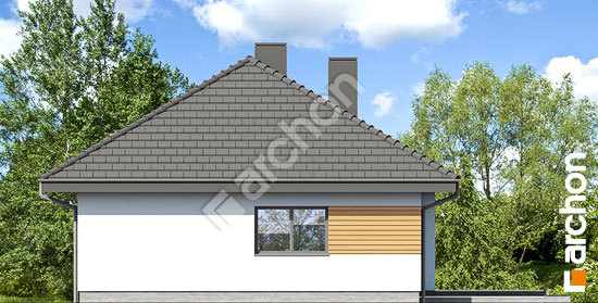 Дворовий фасад Будинок в бузку 14