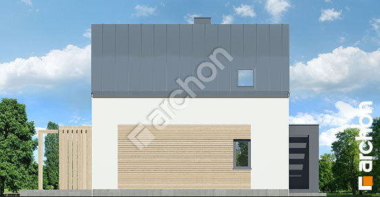 Боковой фасад Дом в голокучнике (АЕ) ВИЭ