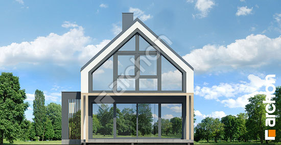 Дворовий фасад Будинок в голокупнику (АЕ) ВДЕ