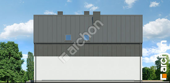 Бочний фасад Будинок в маракуях 2