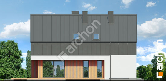 Бочний фасад Будинок в маракуях 2