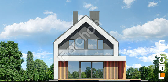 Дворовий фасад Будинок в маракуях 2