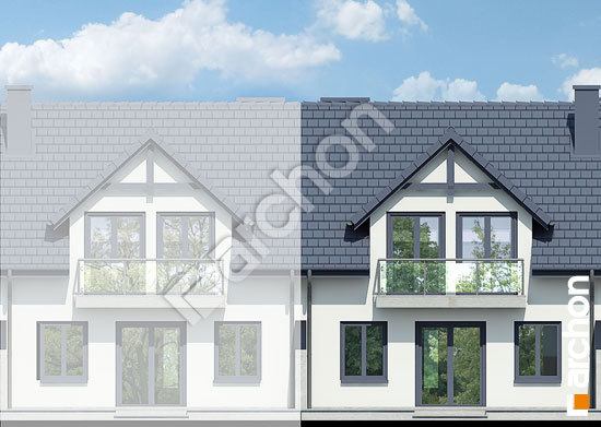 Дворовой фасад Дом в клематисах вер.3