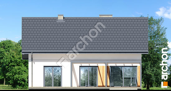 Дворовий фасад Будинок під липкою 2