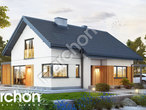 Проект будинку ARCHON+ Будинок під липкою 2 додаткова візуалізація