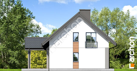 Боковой фасад Дом в малиновках 17