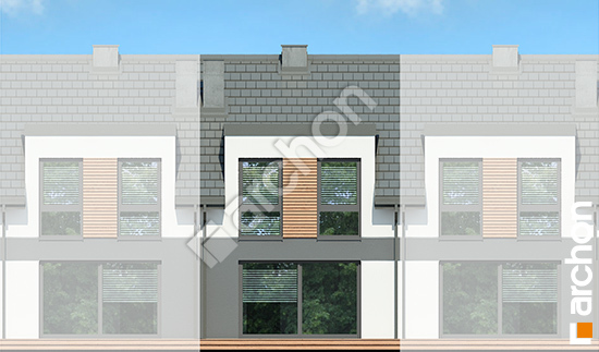 Дворовой фасад Дом в ривиях 16 (ГС)