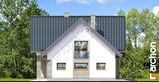 Бочний фасад Будинок в алоізіях (Г2)