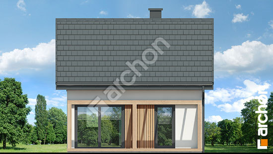 Дворовий фасад Літній будиночок в крокусах 5