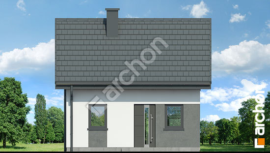 Передній фасад Літній будиночок в крокусах 5