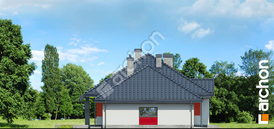 Бочний фасад Будинок в гаурах (Г2Н)