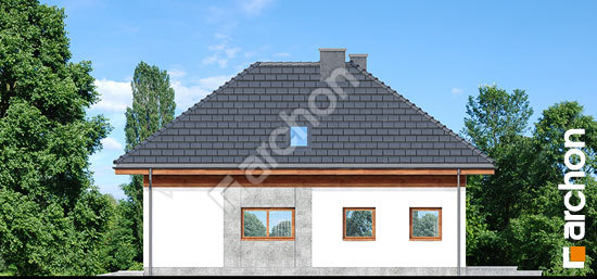 Бочний фасад Будинок в кортусах