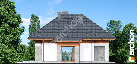 Бочний фасад Будинок в кортусах