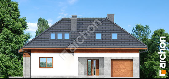 Передній фасад Будинок в кортусах