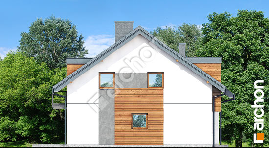 Бочний фасад Будинок під гінко 10 (Р2)