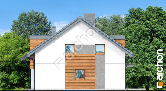 Боковой фасад Дом под гинко 10 (Р2)