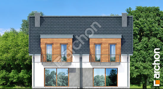 Дворовий фасад Будинок під гінко 10 (Р2)