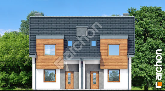 Передній фасад Будинок під гінко 10 (Р2)