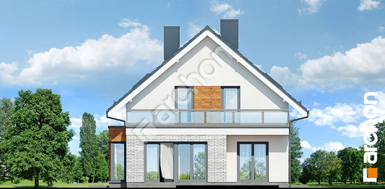 Дворовой фасад Дом во флоксах 3 (П)