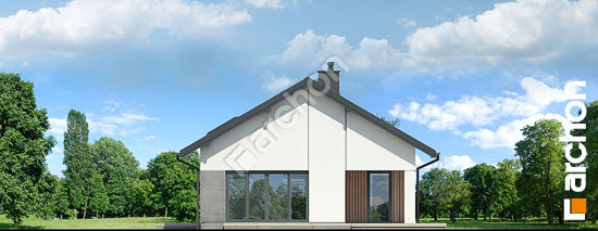 Бочний фасад Будинок в магоніях