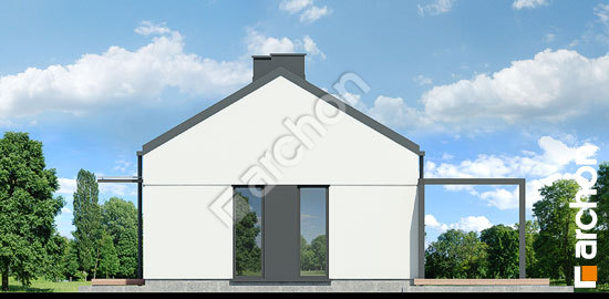 Бочний фасад Будинок в ірисах 4 (Н)