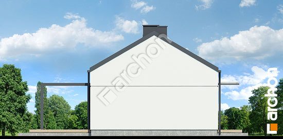 Бочний фасад Будинок в ірисах 4 (Н)