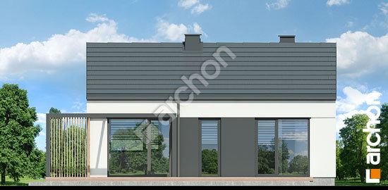 Дворовий фасад Будинок в ірисах 4 (Н)