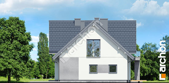 Бочний фасад Будинок в фаворитках (Г2)