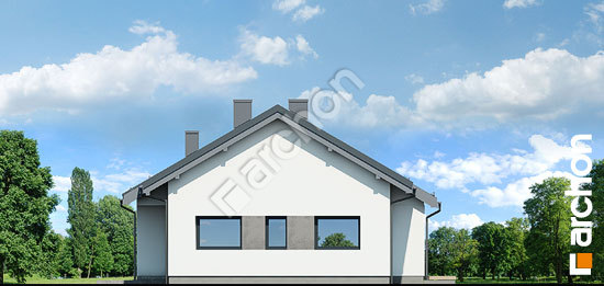 Боковой фасад Дом в пеперомиях 4