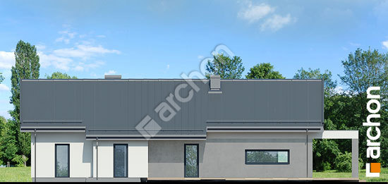 Дворовий фасад Будинок в пепероміях 4