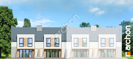 Дворовой фасад Дом в клематисах 25 (Р2Б)