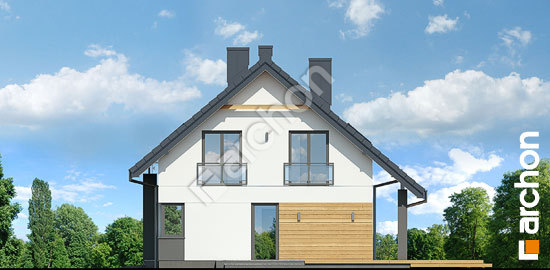 Бочний фасад Будинок в малинівці (Г)