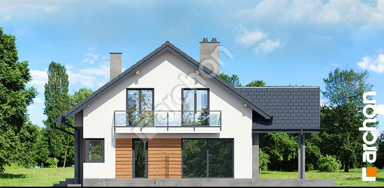 Бочний фасад Будинок в аурорах 7 (П)