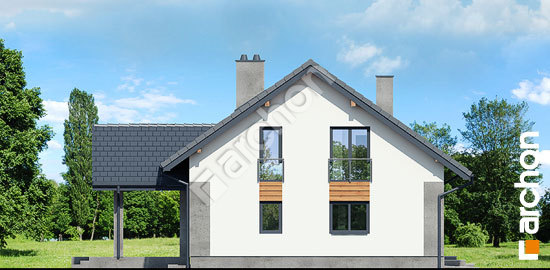 Бочний фасад Будинок в аурорах 7 (П)