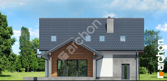 Дворовий фасад Будинок в аурорах 7 (П)