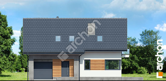 Передній фасад Будинок в аурорах 7 (П)