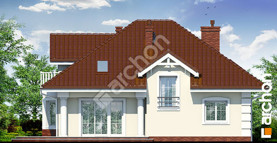 Дворовий фасад Будинок в ехінацеях вер.2