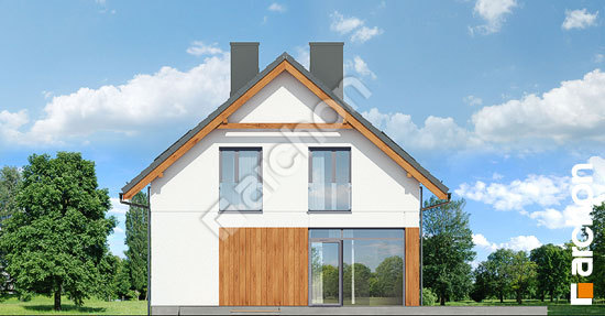 Дворовий фасад Будинок під хікорою 2