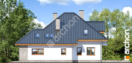 Боковой фасад Дом в сансевиериях