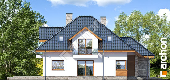 Боковой фасад Дом в сансевиериях