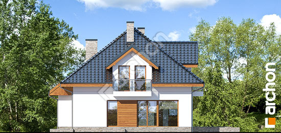 Дворовой фасад Дом в сансевиериях